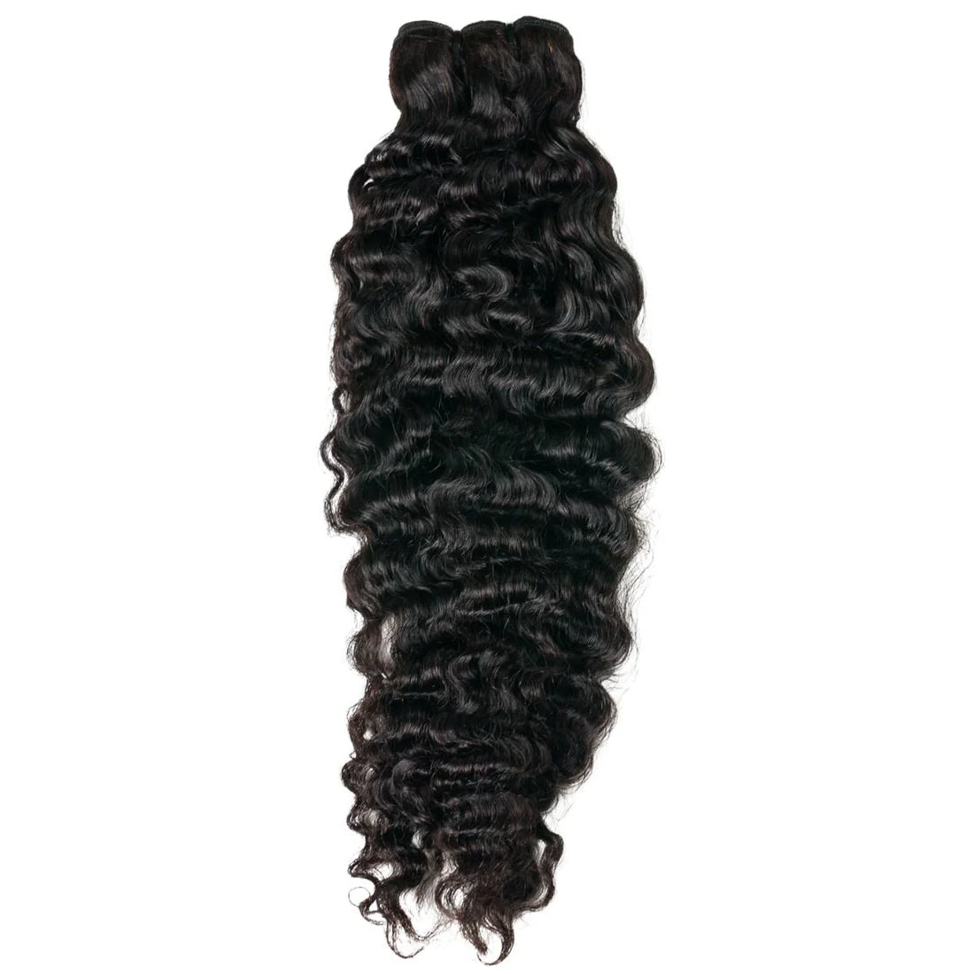 Burmese Curl