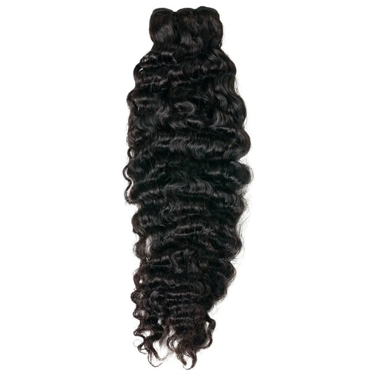 Burmese Curl